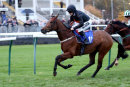 Race 8 - Debatable (7)
