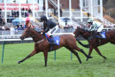 Race 8 - Debatable (8)