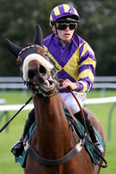 Race 8 - Deinonychus (12)