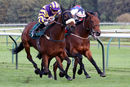 Race 8 - Deinonychus (6)