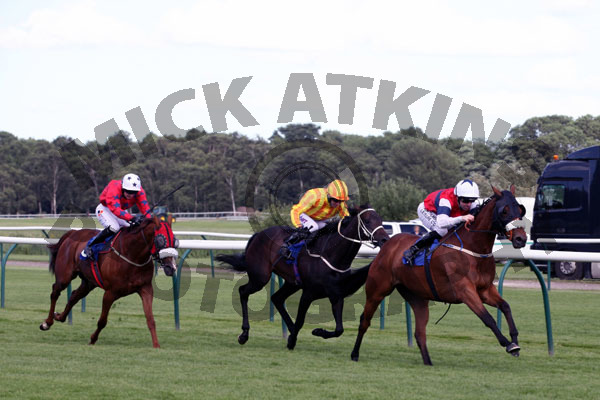 Race 8 - Diamond Runner (6)
