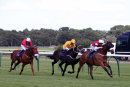 Race 8 - Diamond Runner (6)