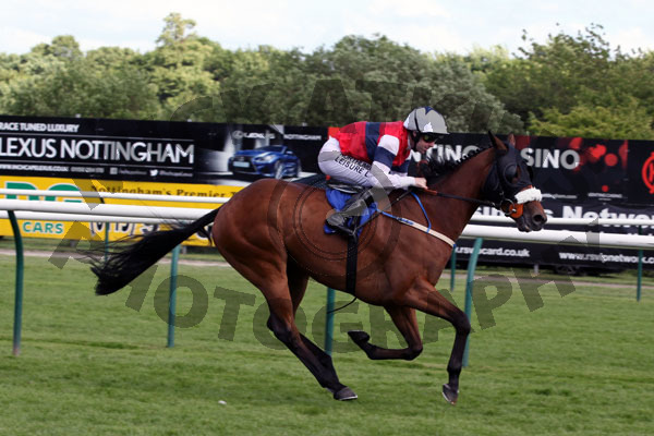 Race 8 - Diamond Runner (9)