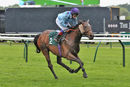 Race 8 - Dors Law (3)