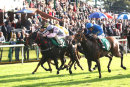 Race 8 - Errisimus Maximus & Sheepscar Lad (6)