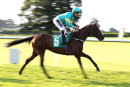 Race 8 - Face Like Thunder (2)093