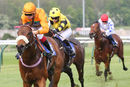 Race 8 - Free Love (4)