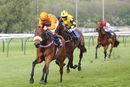 Race 8 - Free Love (5)