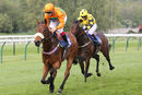 Race 8 - Free Love (6)