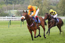 Race 8 - Free Love (7)