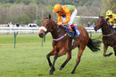 Race 8 - Free Love (8)