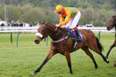 Race 8 - Free Love (9)