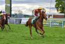 Race 8 - French (12)