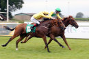 Race 8 - Fyrecracker (11)