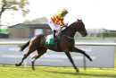 Race 8 - Helovaplan (3)