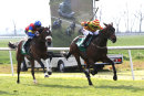 Race 8 - Helovaplan (8)