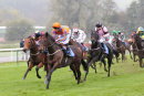 Race 8 - Jabbarockie (8)