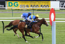 Race 8 - Junoesque (10)