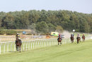 Race 8 - Longhouse Sale (3)