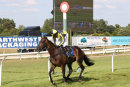 Race 8 - Longhouse Sale (7)