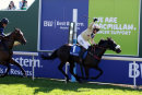 York Races - Macmillan Day (17 June 17)
