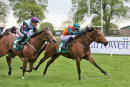Race 8 - Mango Chutney (10)