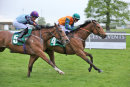Race 8 - Mango Chutney (12)