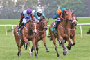 Race 8 - Mango Chutney (4)