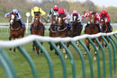 Race 8 - Mayfair Spirit (10)