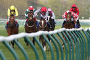 Race 8 - Mayfair Spirit (4)