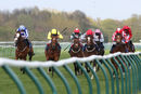 Race 8 - Mayfair Spirit (5)