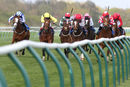 Race 8 - Mayfair Spirit (7)