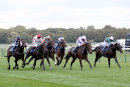 Race 8 - Maygold (4)