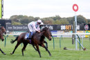 Race 8 - Maygold (6)