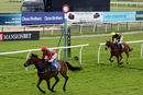 Race 8 - Moidore (10)