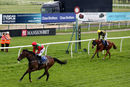 Race 8 - Moidore (11)