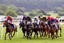 Race 8 - Moidore (3)