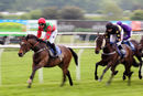 Race 8 - Moidore (4)
