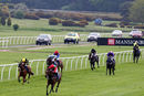 Race 8 - Moidore (5)