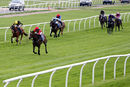 Race 8 - Moidore (6)