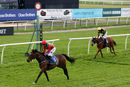 Race 8 - Moidore (9)
