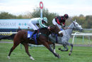 Race 8 - Nevada (11)
