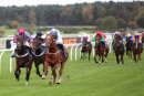 Race 8 - Normal Norman (4)