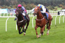 Race 8 - Normal Norman (8)
