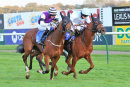 Race 8 - Quoteline Direct (6)