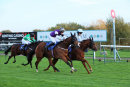 Race 8 - Quoteline Direct (9)