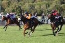 Race 8 - Raasel (12)