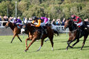 Race 8 - Raasel (13)