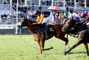 Race 8 - Raasel (16)