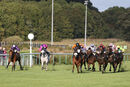 Race 8 - Raasel (2)